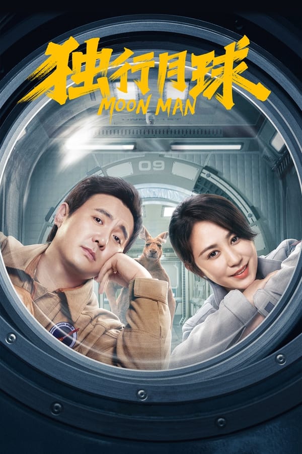 电影《独行月球》的海报