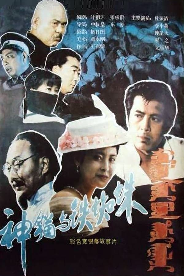 电影《神猫与铁蜘蛛》的海报