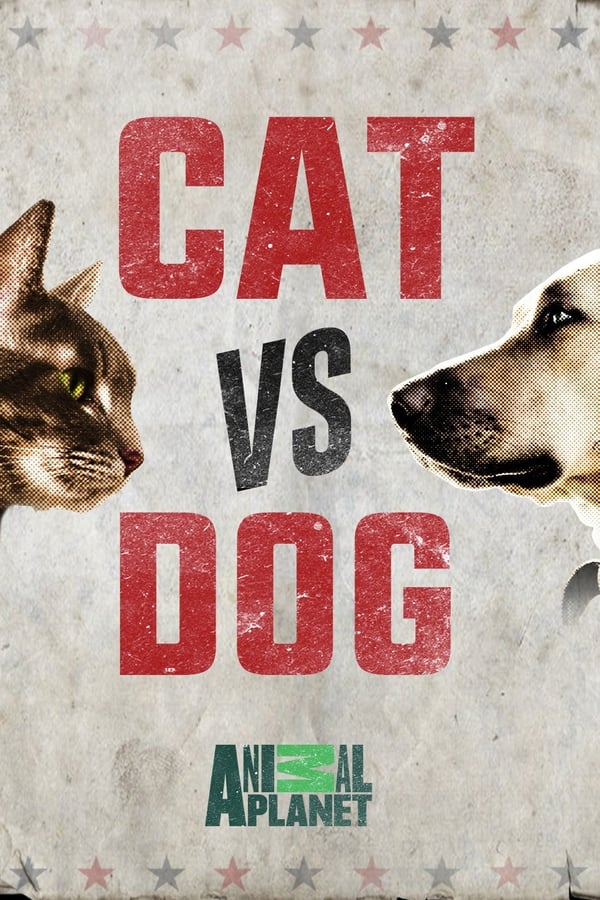 电影《猫狗大战》的海报