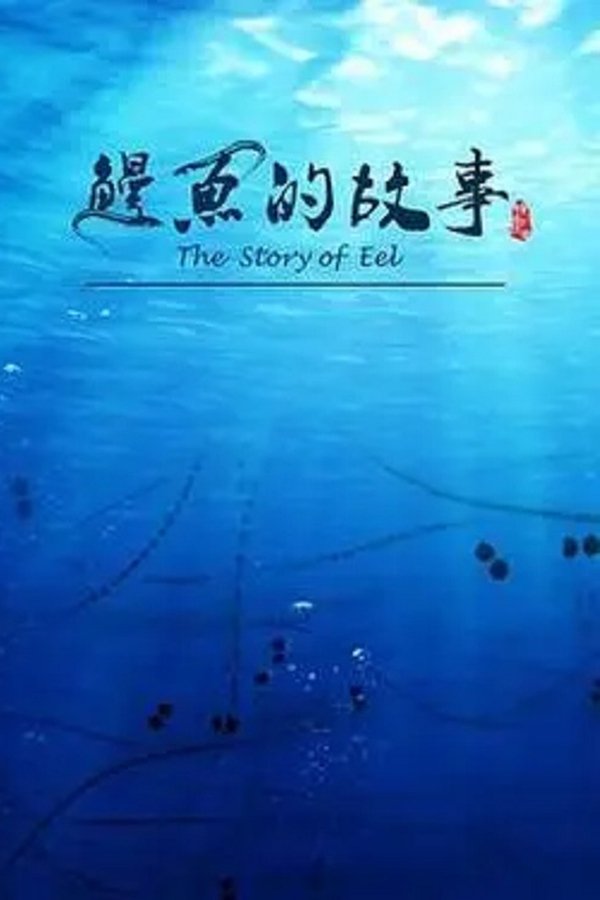 《鳗鱼的故事》的海报