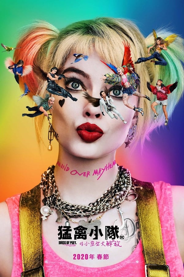 猛禽小队和哈莉·奎茵