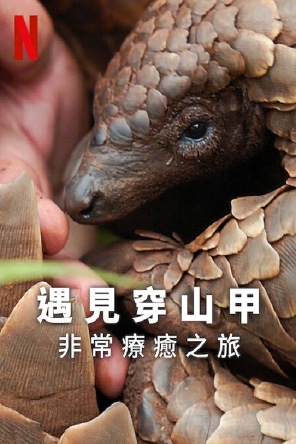 电影《穿山甲Kulu的旅程》的海报