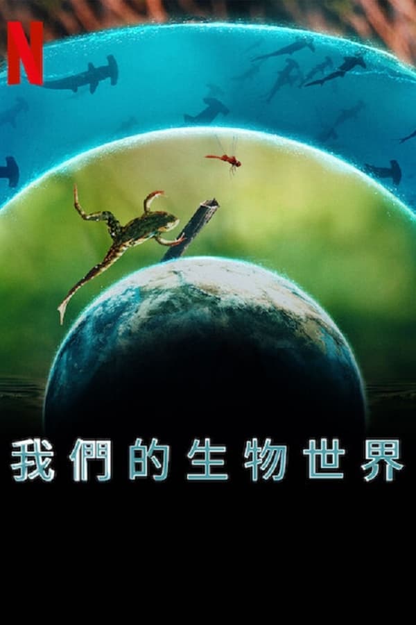电影《我们的生物世界》的海报
