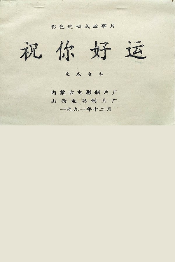 电影《祝你好运》的海报