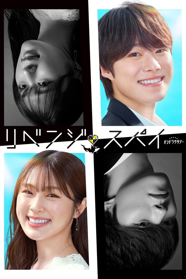 《复仇间谍》的海报