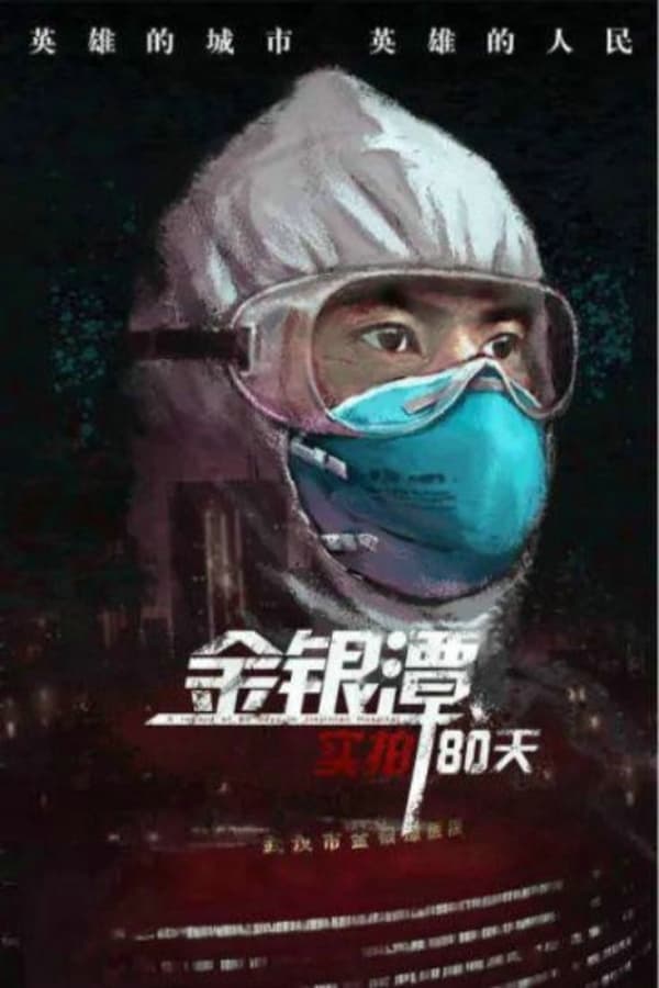 电影《金银潭实拍80天》的海报