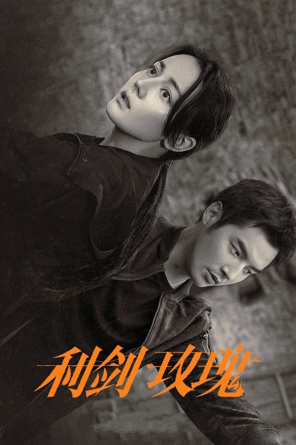 《利剑·玫瑰》的海报