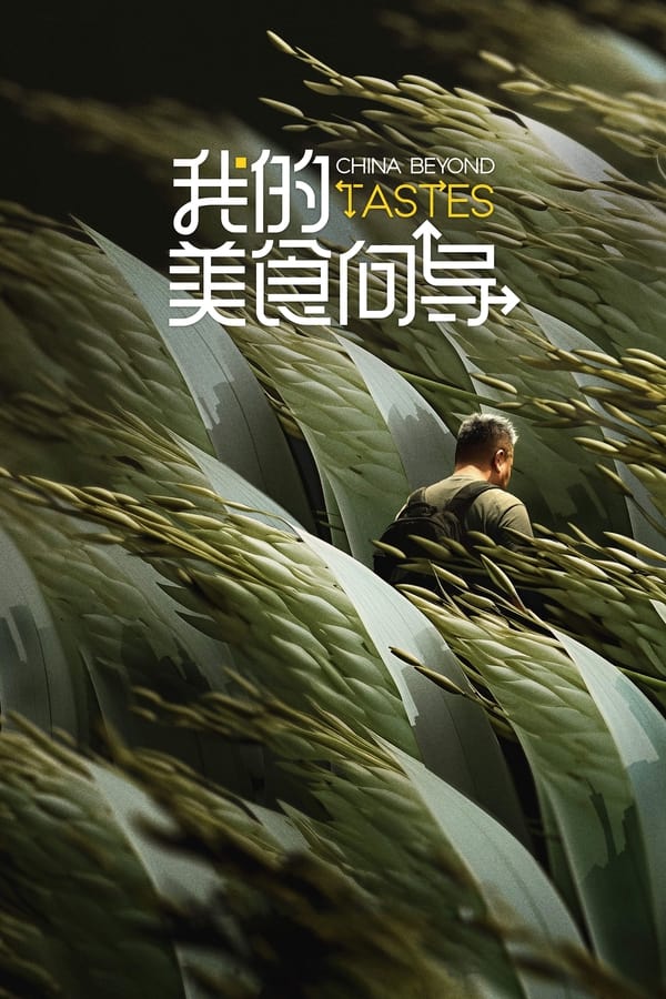 电影《我的美食向导》的海报