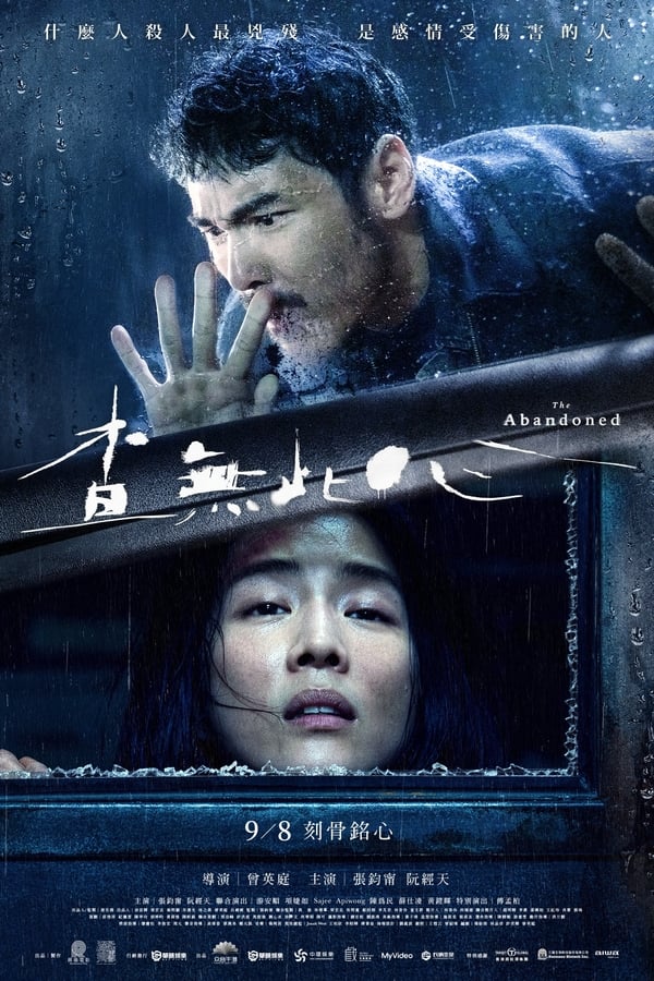 电影《追缉》的海报