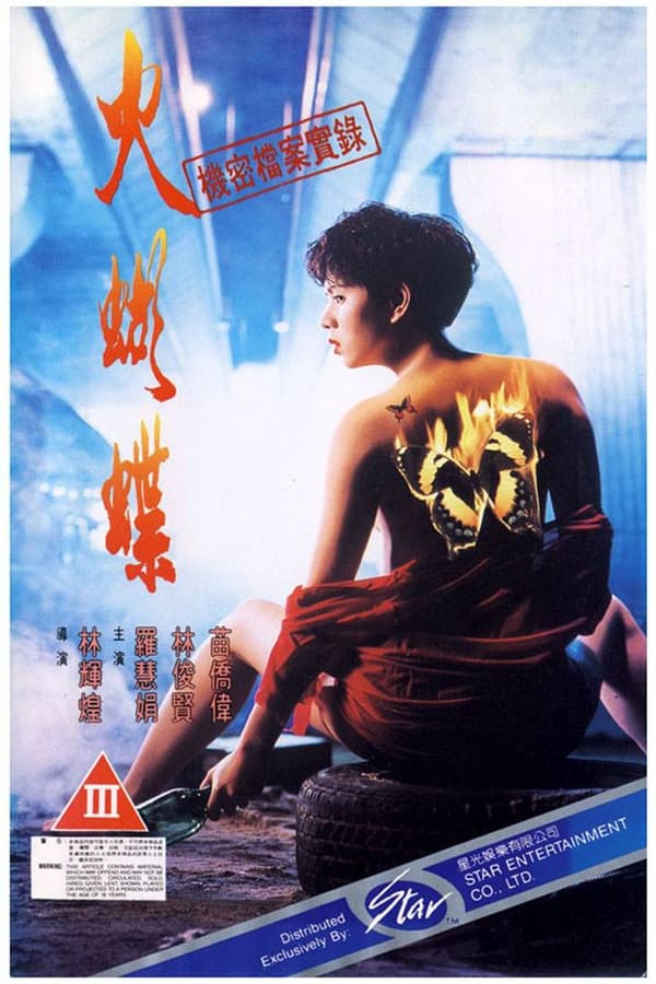 电影《机密档案实录火蝴蝶》的海报