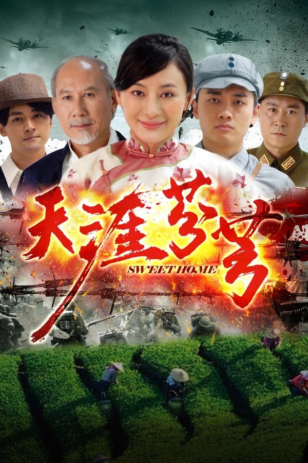 电影《天涯芬芳》的海报