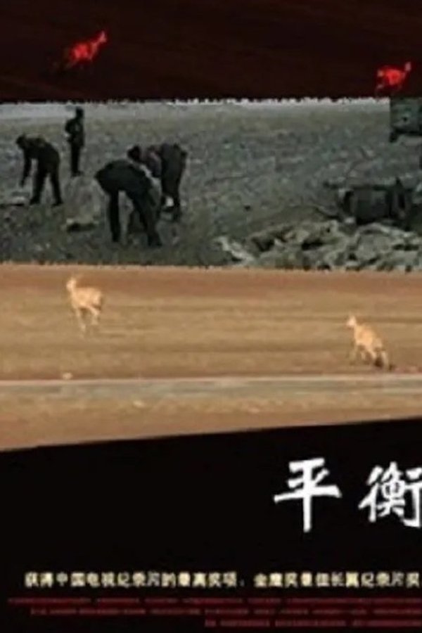 电影《平衡》的海报