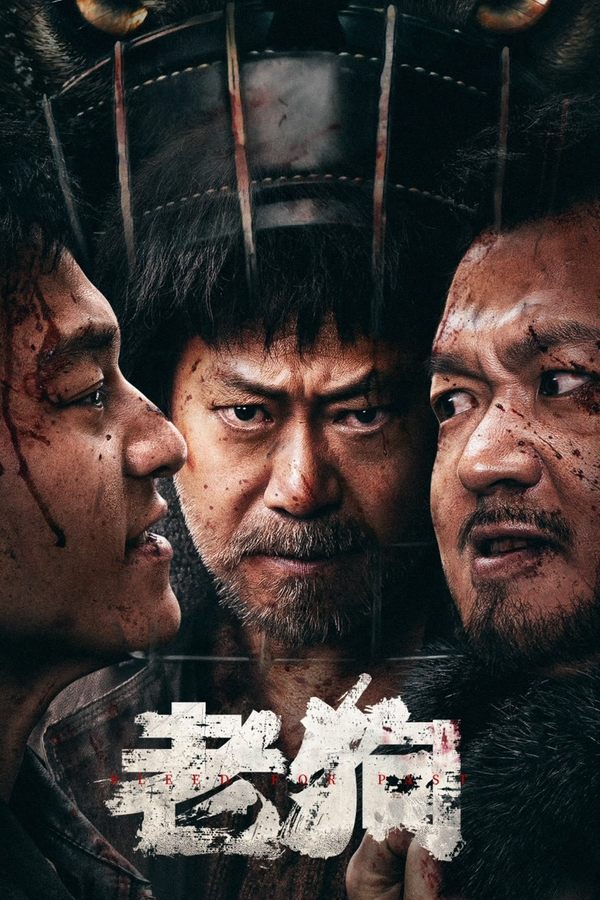 电影《老狗》的海报