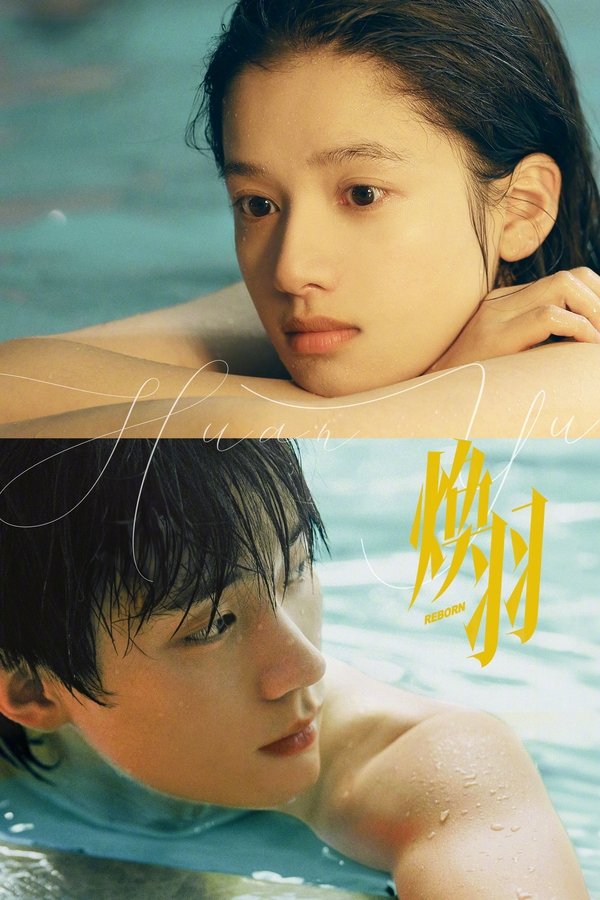 电影《焕羽》的海报
