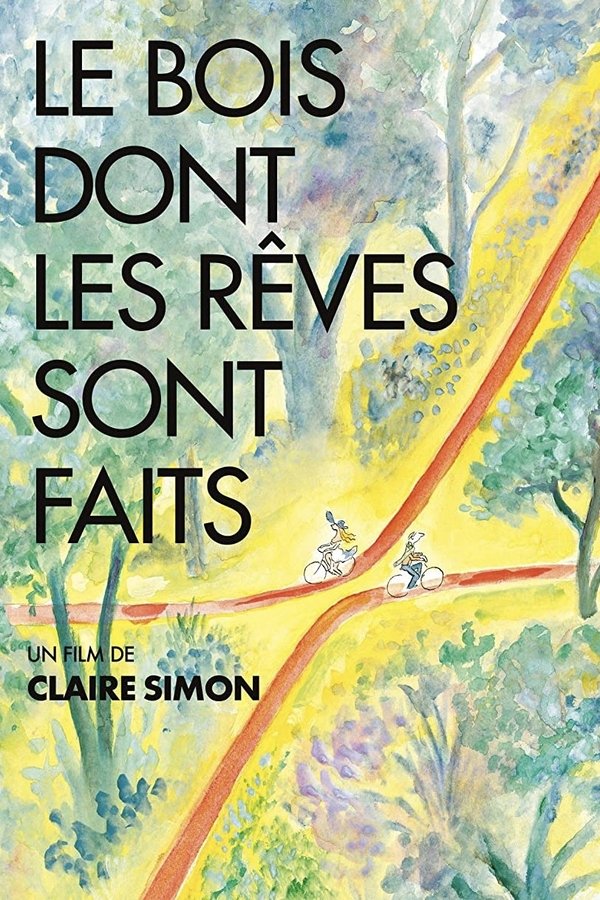 我们在这片森林里制造梦想