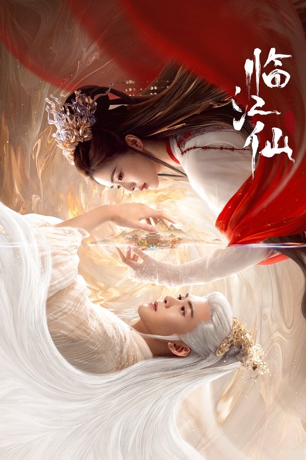 电影《临江仙》的海报