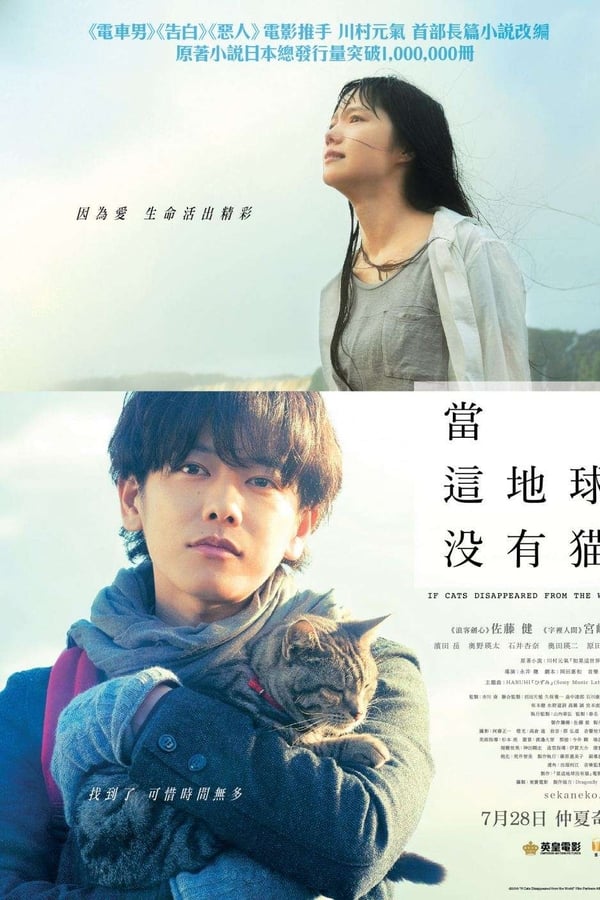 假如猫从世界上消失了