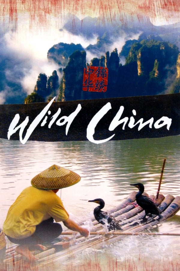 电影《美丽中国》的海报
