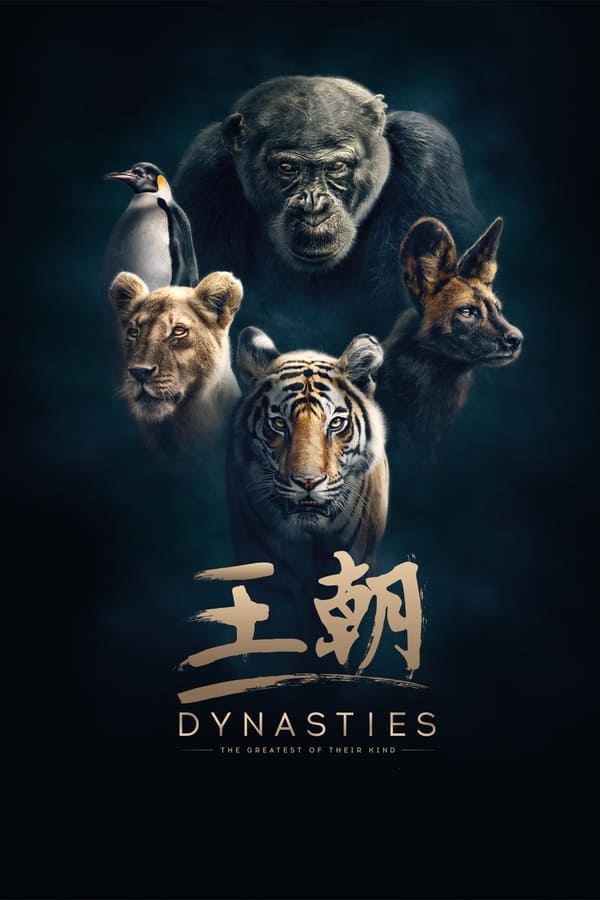 电影《王朝》的海报