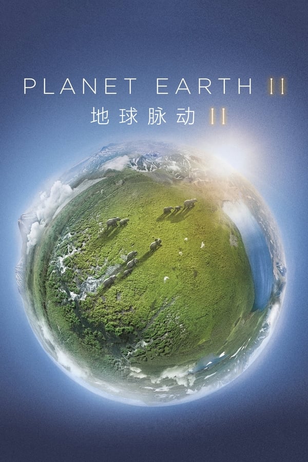 电影《地球脉动 第二季》的海报