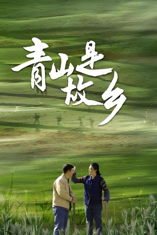 电影《温暖的土地》的海报