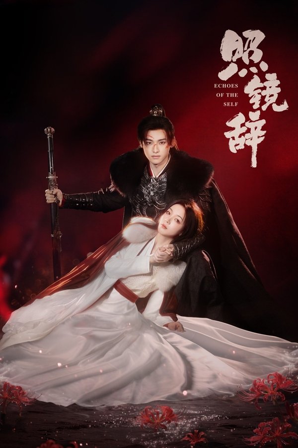 《照镜辞》的海报