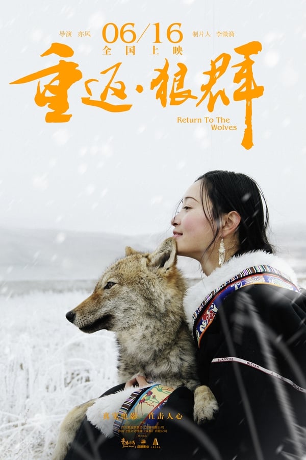 电影《重返·狼群》的海报
