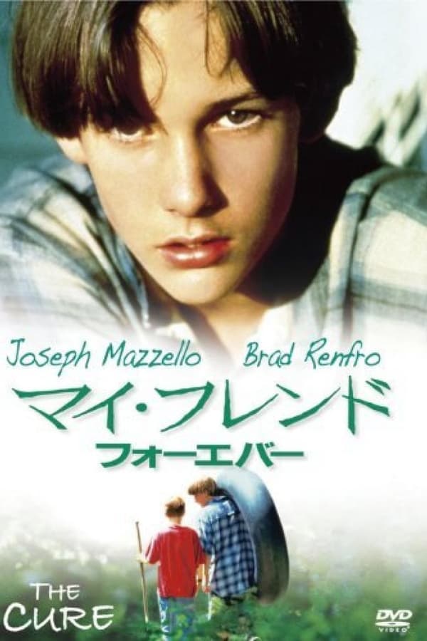 鳄鱼波鞋走天涯