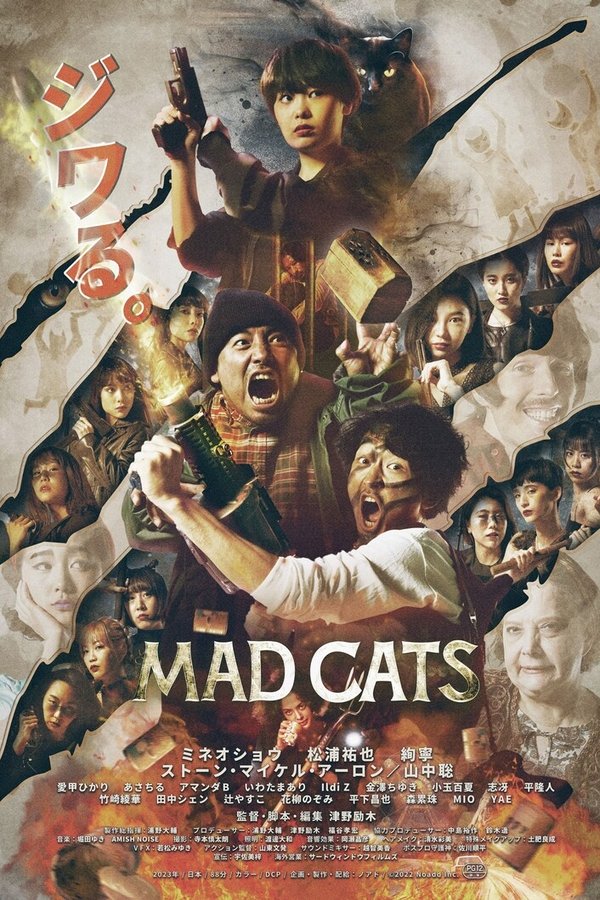 猫无赦