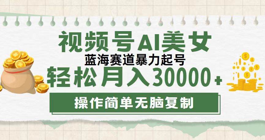 资源《视频号AI美女跳舞，轻松月入30000+，蓝海赛道，流量池巨大，起号猛，无…》的海报