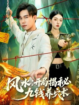 资源《风水：开局揭秘九钱养穴术》的海报