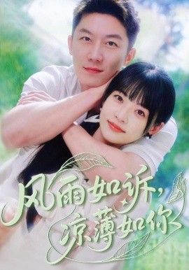 资源《风雨如诉，凉薄如你》的海报