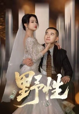 野性＆分手后，顶头上司要嫁我