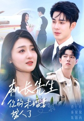 资源《机长先生你的未婚妻嫁人了》的海报