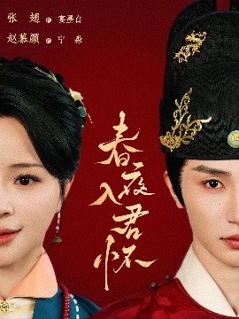 资源《春夜入君怀》的海报