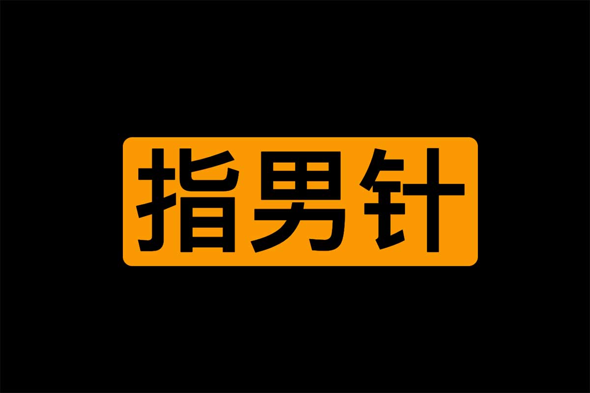 资源《指男针-老岸》的海报