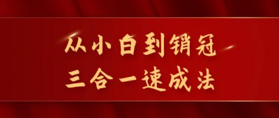 资源《从小白到销冠三合一速成法》的海报