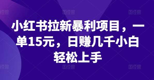 资源《小红书拉新暴利项目，一单15元，日赚几千小白轻松上手【揭秘】》的海报