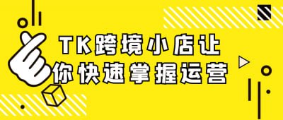 资源《TK跨境小店让你快速掌握运营》的海报
