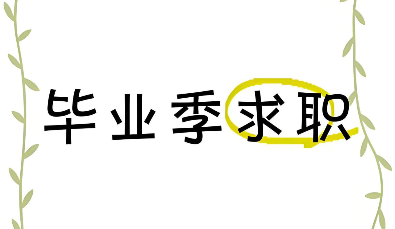 资源《毕业求职面试设计素材合集》的海报