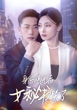 资源《身份曝光后女秘书哭了》的海报