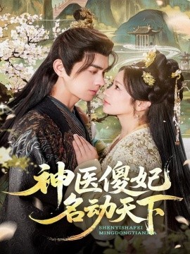 资源《神医傻妃名动天下》的海报