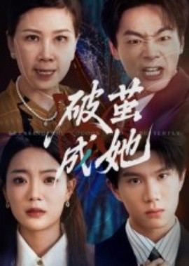 资源《破茧成她》的海报