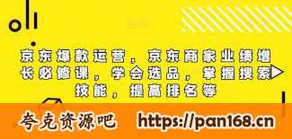 资源《京东爆款运营》的海报