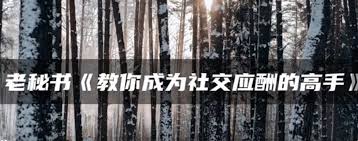 资源《教你成为社交应酬的高手》的海报