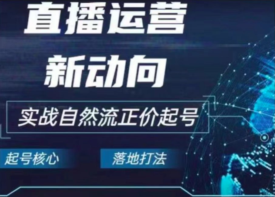 资源《2024电商自然流起号》的海报