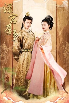 资源《深宫孕事＆掌心娇》的海报