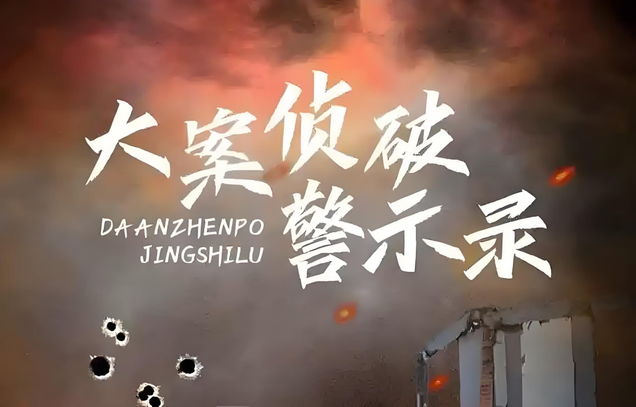 资源《张嵩拍案《大案要案侦破纪实》》的海报