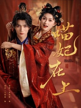 资源《喵妃在上》的海报