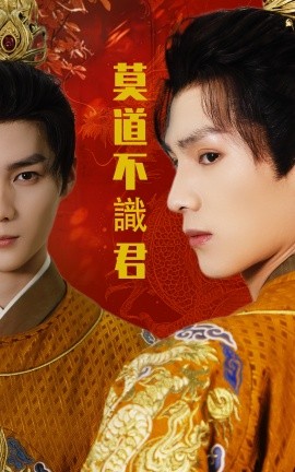 资源《莫道不识君》的海报